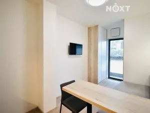 Pronájem bytu 1+kk, Břeclav, Břetislavova, 18 m2