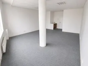 Pronájem kanceláře, Brno, Bednaříkova, 42 m2