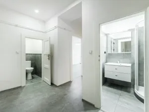 Prodej bytu 2+kk, Praha - Žižkov, Buchovcova, 46 m2