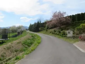 Dražba louky, Raškovice, 9277 m2