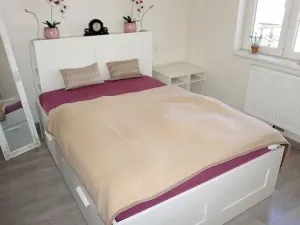 Prodej bytu 2+kk, Praha - Žižkov, Rečkova, 51 m2