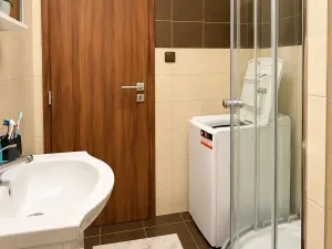 Pronájem bytu 1+1, Plzeň, Na Dlouhých, 37 m2