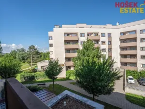 Prodej bytu 2+kk, Brno, Kigginsova, 60 m2