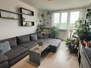 Prodej bytu 4+1, Orlová, Lesní, 78 m2