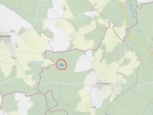 Prodej podílu lesa, Nové Mitrovice, 1057 m2