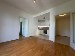 Pronájem bytu 2+kk, Praha - Dejvice, Paťanka, 43 m2