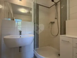 Pronájem bytu 2+kk, Praha - Dejvice, Paťanka, 43 m2