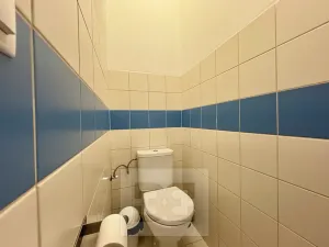 Pronájem bytu 2+kk, Brno, Cejl, 50 m2