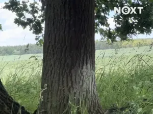 Prodej rodinného domu, Puclice, 215 m2