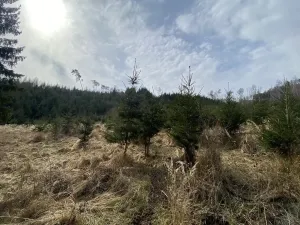 Prodej louky, Městečko Trnávka - Lázy, 1026 m2