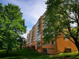 Pronájem bytu 1+1, Most, Jana Kubelíka