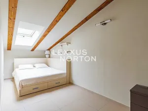 Pronájem bytu 5+kk, Praha - Bubeneč, Mlýnská, 150 m2