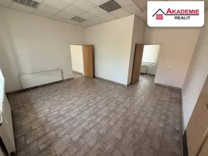 Pronájem obchodního prostoru, Hrabětice, Hrušovanská, 160 m2