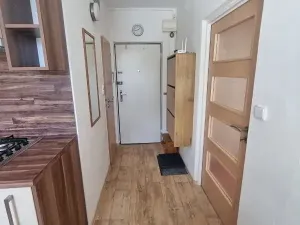 Pronájem bytu 1+1, Jihlava, Telečská, 33 m2