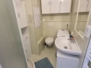 Pronájem bytu 1+1, Jihlava, Telečská, 33 m2