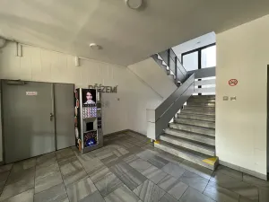 Pronájem skladu, Praha - Holešovice, Jankovcova, 33 m2