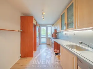 Prodej bytu 3+1, Domanín, 81 m2