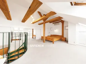 Prodej bytu 5+kk, Praha - Vinohrady, Moravská, 237 m2