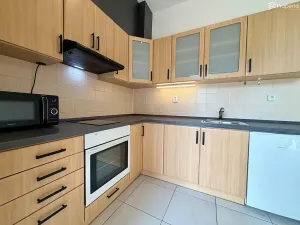 Pronájem bytu 1+kk, Brno, Křížkovského, 32 m2