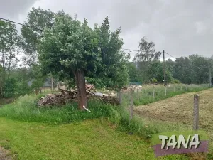 Prodej pozemku pro bydlení, Žernov, 509 m2