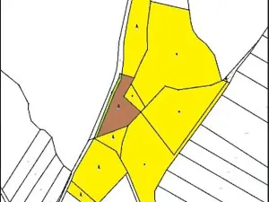 Prodej lesa, Přáslavice, 2463 m2