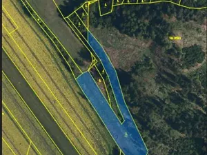 Prodej lesa, Dolní Hořice, 8003 m2