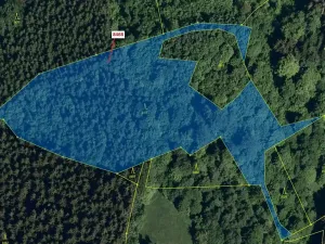 Dražba lesa, Vsetín, 11544 m2