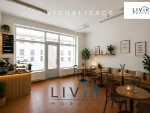 Pronájem obchodního prostoru, Olomouc, Smrčkova, 32 m2