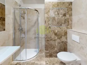Pronájem bytu 1+kk, Olomouc, Janského, 28 m2