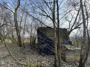 Prodej louky, Městečko Trnávka - Lázy, 1158 m2