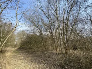 Prodej louky, Městečko Trnávka - Lázy, 1158 m2