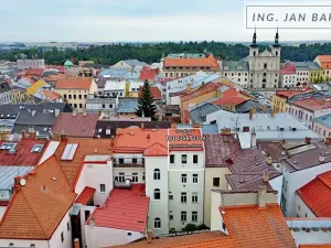 Pronájem bytu 1+kk, Jihlava, Palackého, 35 m2