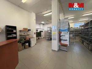 Pronájem obchodního prostoru, Tábor, U Čápova dvora, 415 m2