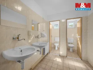 Prodej ubytování, Deštné v Orlických horách, 1200 m2