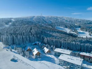 Prodej bytu 2+kk, Loučná pod Klínovcem, 55 m2
