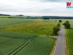 Prodej pole, Ostrov u Bezdružic - Krsov, 101002 m2