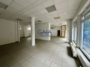 Pronájem obchodního prostoru, Kyjov, Kollárova, 226 m2