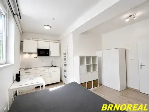 Pronájem bytu 1+kk, Brno, Vodní, 20 m2