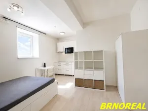 Pronájem bytu 1+kk, Brno, Vodní, 20 m2