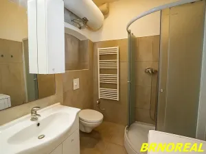 Pronájem bytu 1+kk, Brno, Vodní, 20 m2