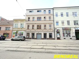 Pronájem bytu 1+kk, Brno, Vodní, 20 m2