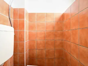 Prodej bytu 3+1, Třemošná, Zálužská, 97 m2