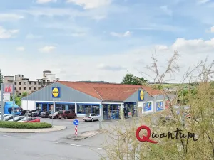 Prodej bytu 3+1, Třemošná, Zálužská, 97 m2