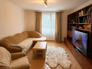Prodej bytu 2+1, Žacléř, Havířská I, 60 m2
