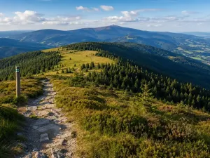 Prodej bytu 2+1, Žacléř, Havířská I, 60 m2