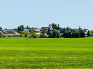 Prodej pozemku pro bydlení, Přišimasy, Skřivanská, 2458 m2