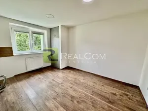 Prodej bytu 2+1, Brno, Svatopluka Čecha, 50 m2