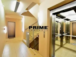 Pronájem bytu 3+kk, Praha - Žižkov, Prokopova, 154 m2