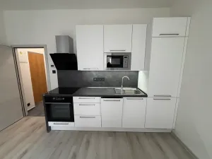Pronájem bytu 1+kk, Praha - Krč, U strže, 25 m2