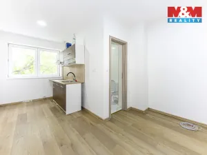 Pronájem rodinného domu, Velim, třída Krále Jiřího, 280 m2